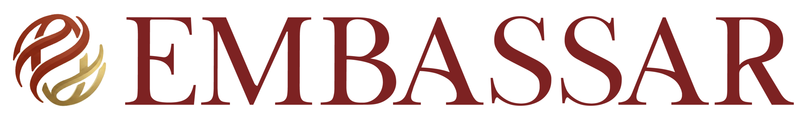 embasssar kırpılmış logo